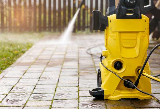 Animal Enclosure Cleaning in Murrysville, PA